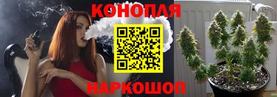 spice Усть-Илимск