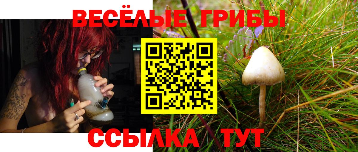 Галлюциногенные грибы MAGIC MUSHROOMS  Галлюциногенные грибы Psilocybe  купить закладку  Вход с VPN  Архангельск 