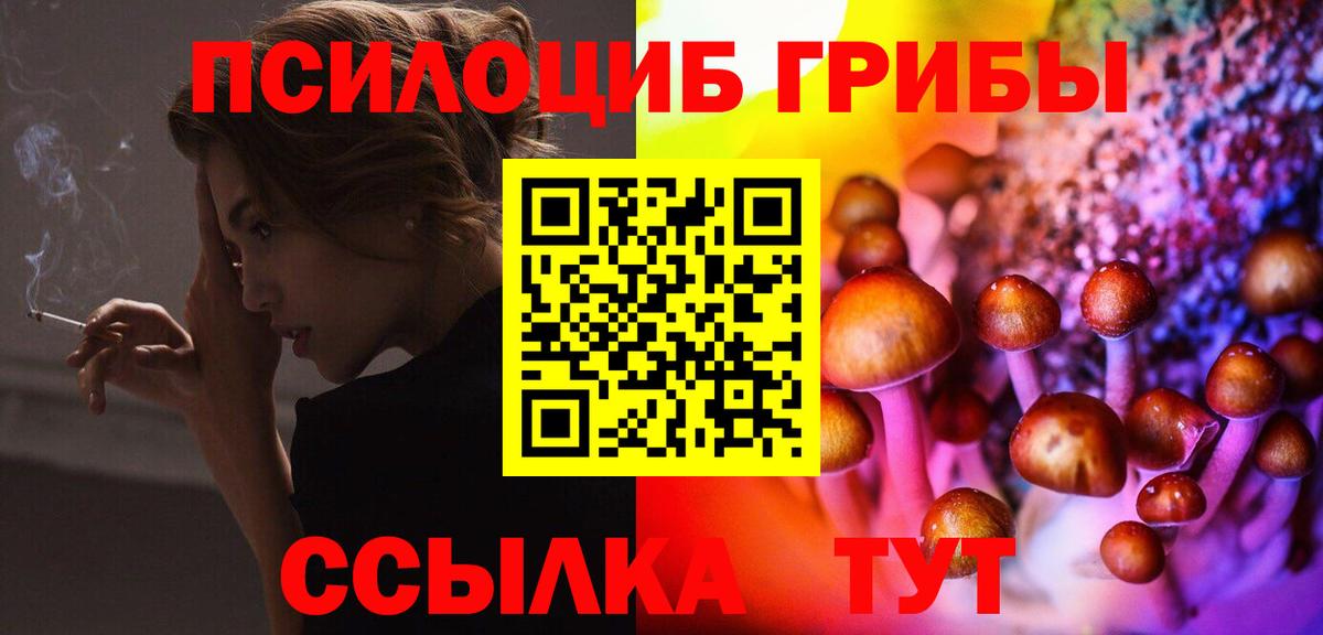 Псилоцибиновые грибы мухоморы Архангельск